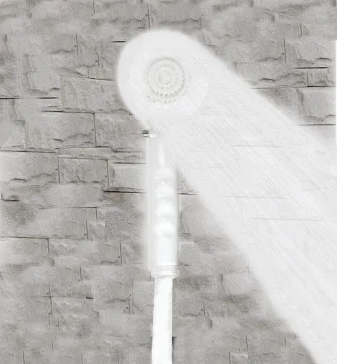 HAND HELD SHOWER 60" -WHITE